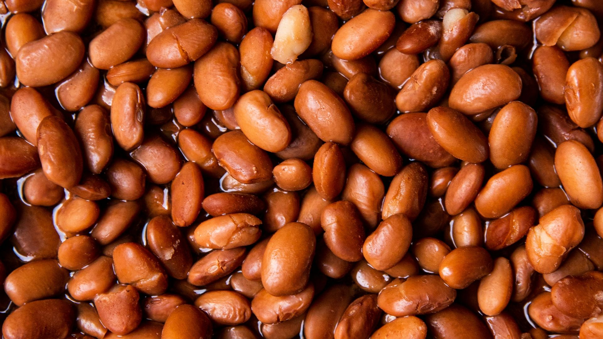 7. Haricots blancs à la sauce tomate