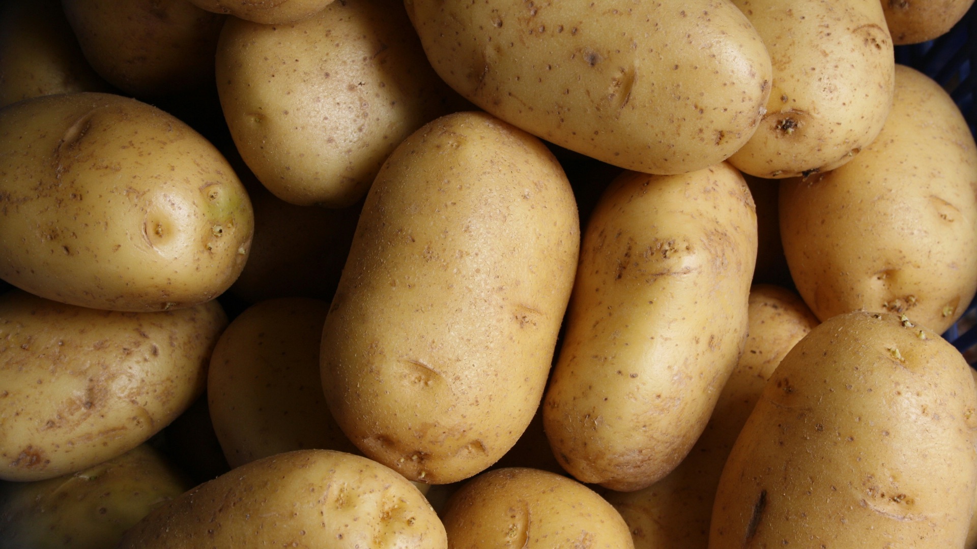 18. Pommes de terre