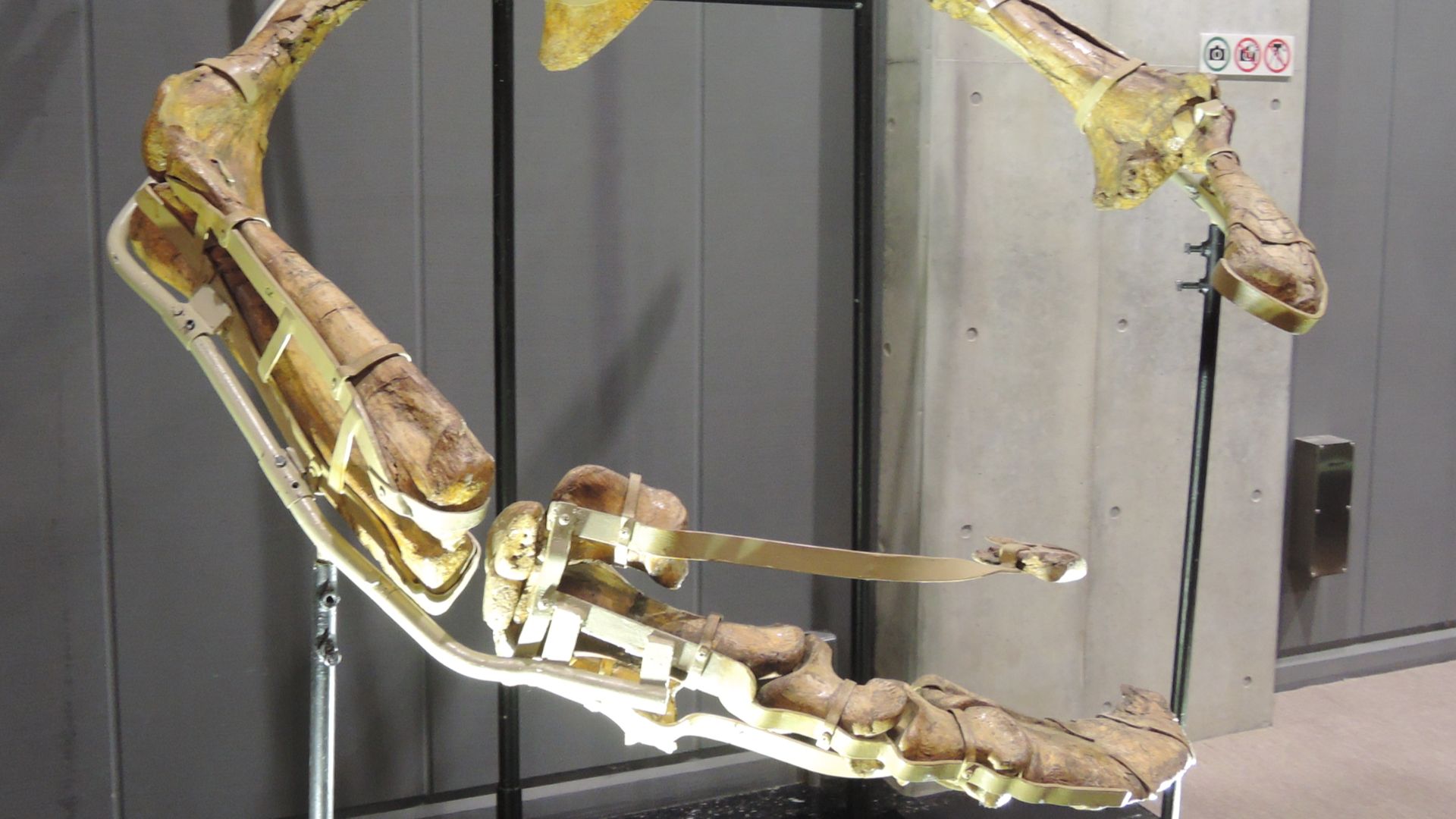 7. Therizinosaurus