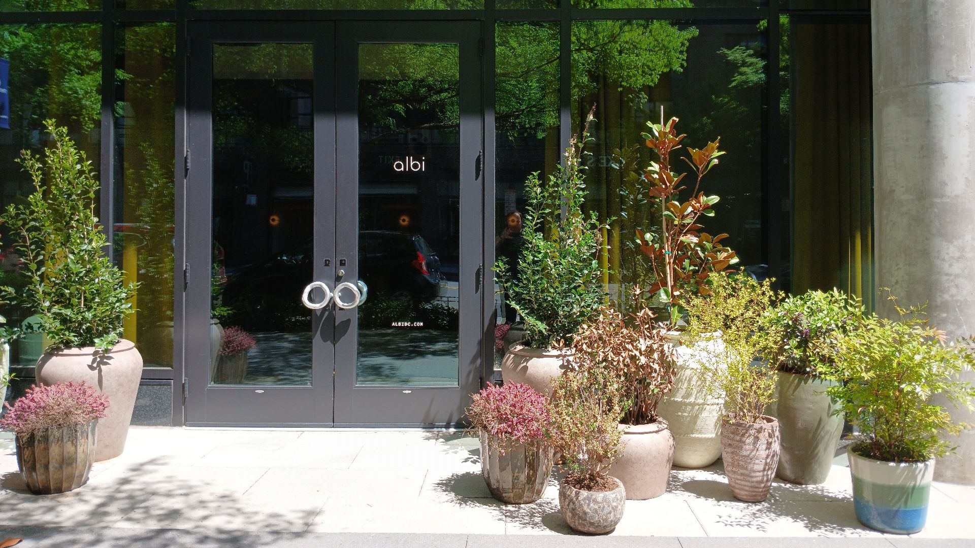 8. Albi à Washington, D.C.