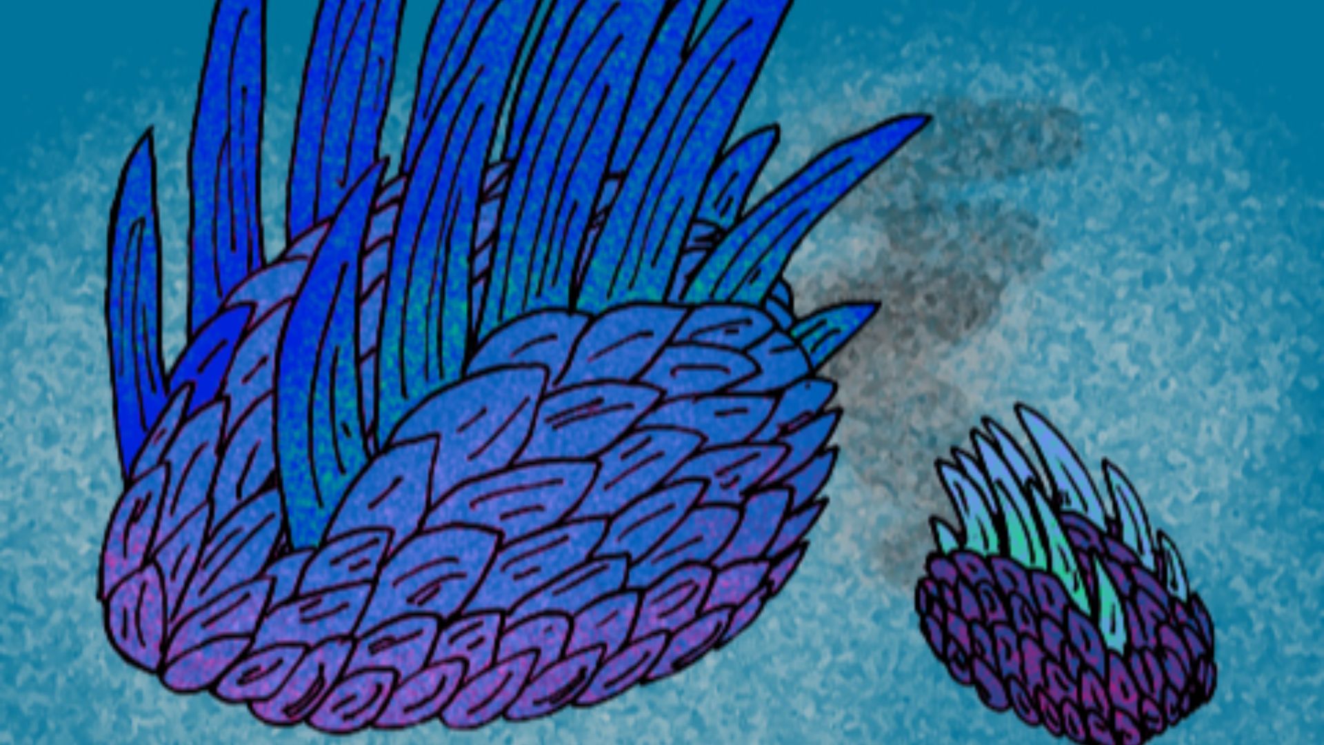 13. Wiwaxia