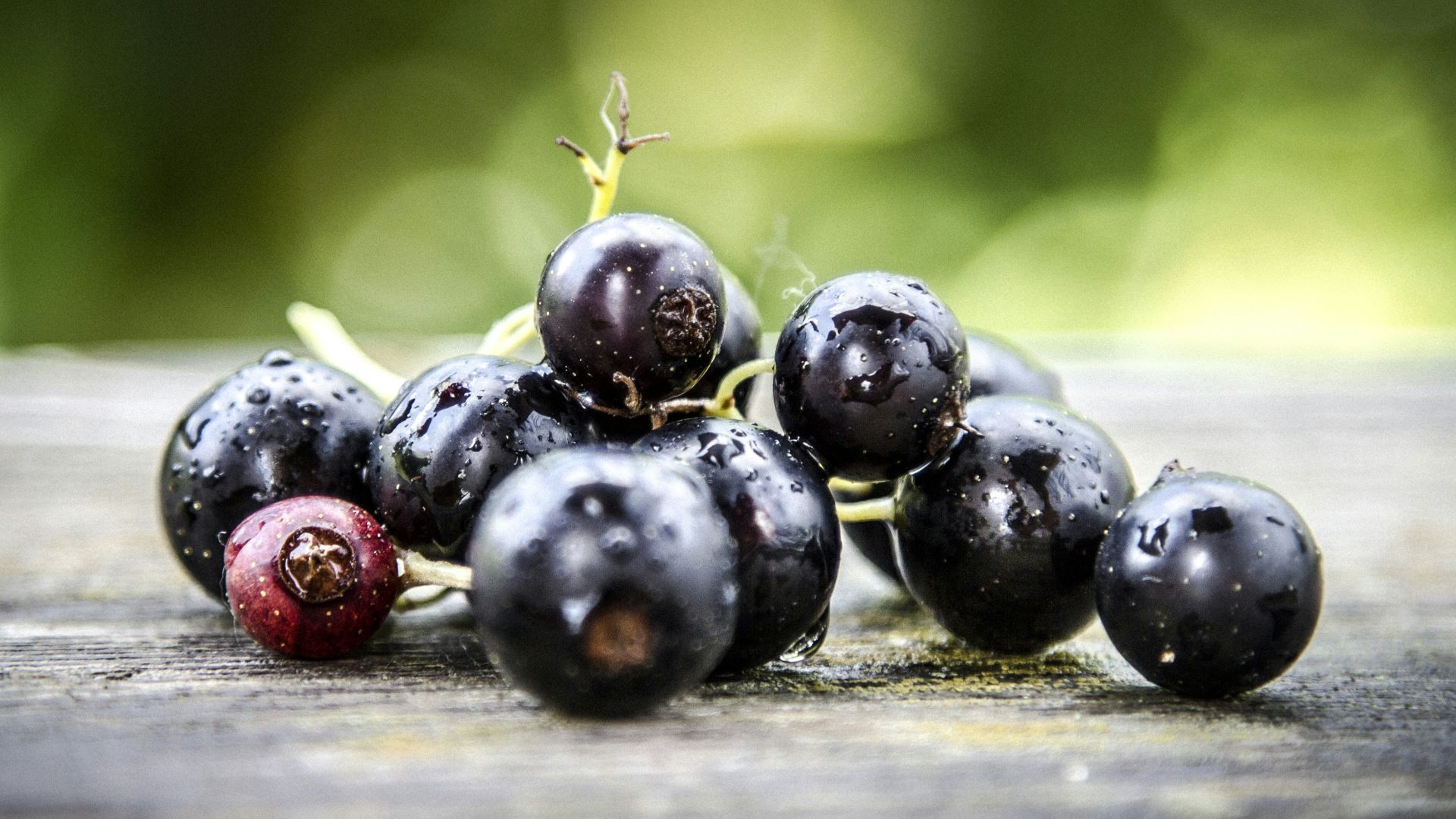 14. Groseilles noires