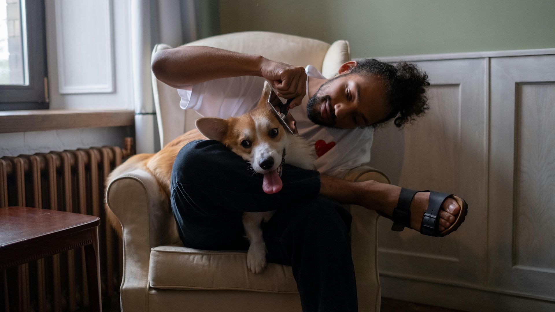 8. Vêtements couverts de poils d'animaux