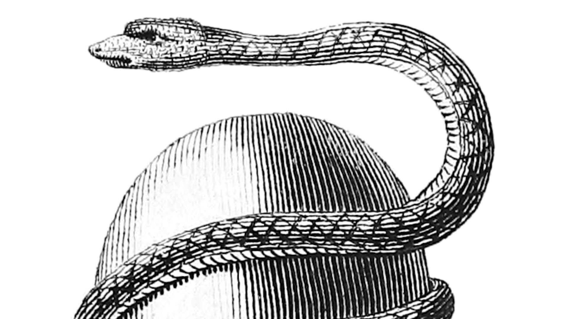 11. L'œuf cosmique orphique