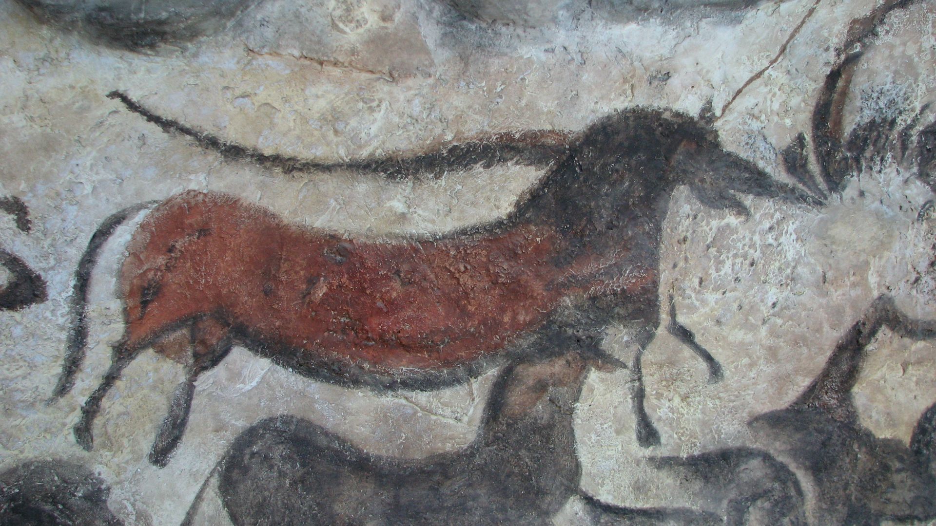 14. Les peintures rupestres de Lascaux