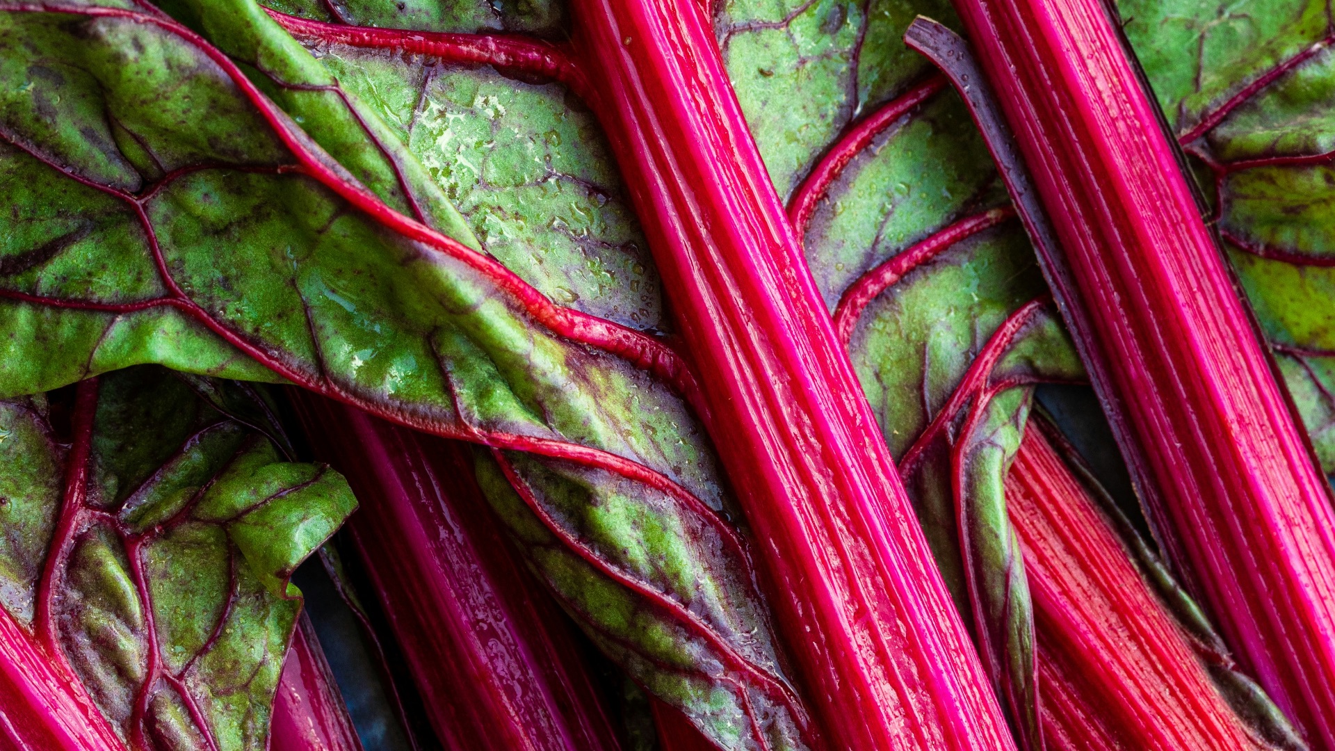 2. Rhubarbe