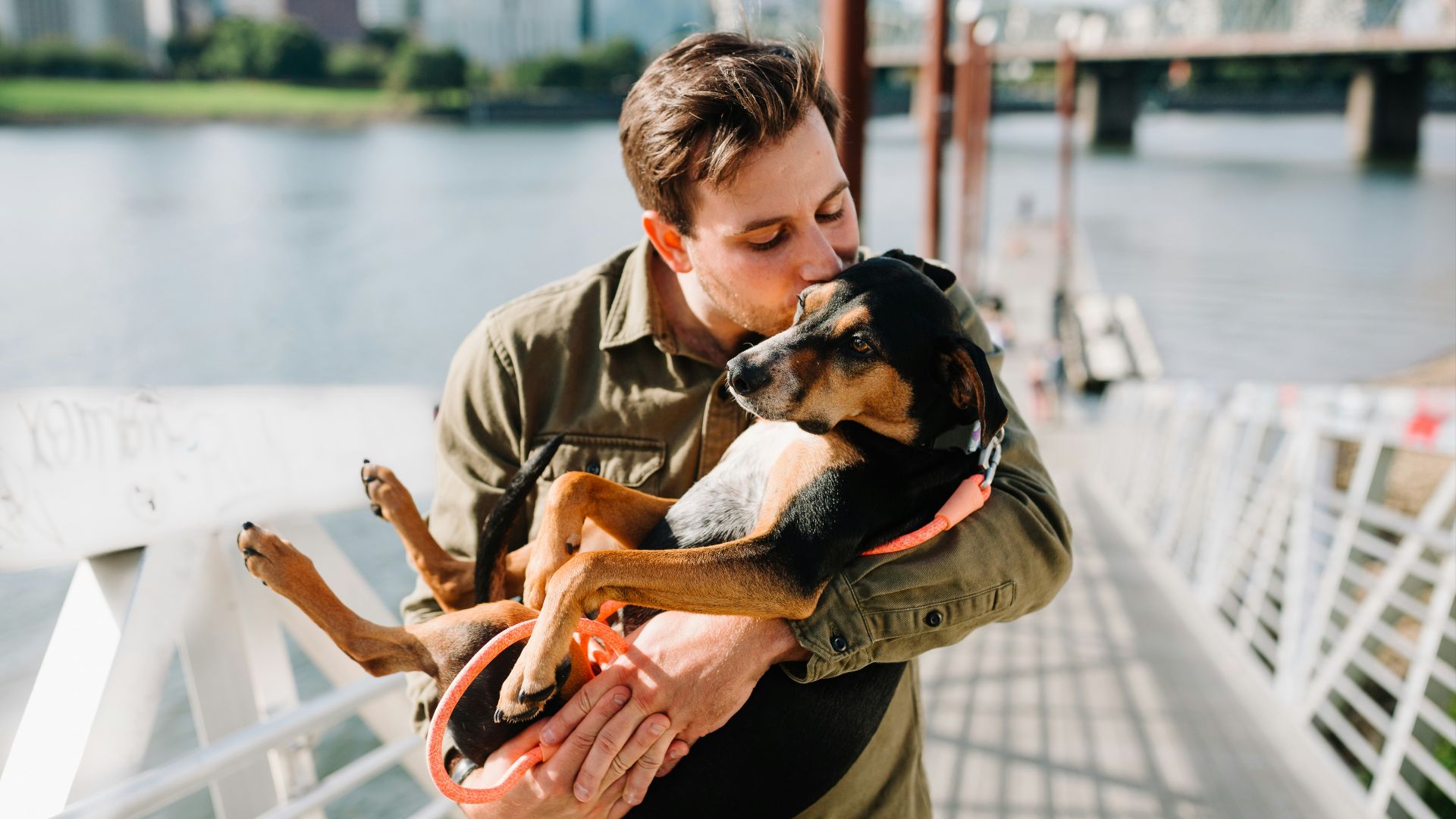 19. Lavez-vous les mains après avoir touché des animaux de compagnie
