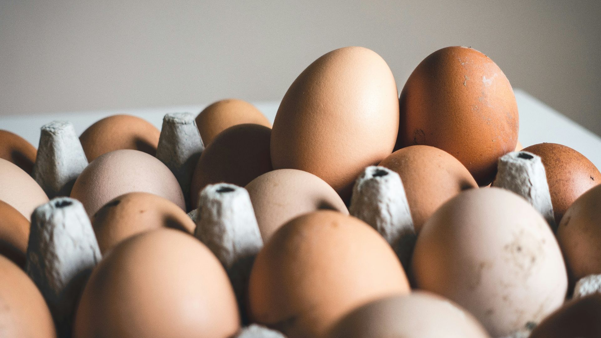 1. Les œufs sont un aliment de base simple et riche en protéines