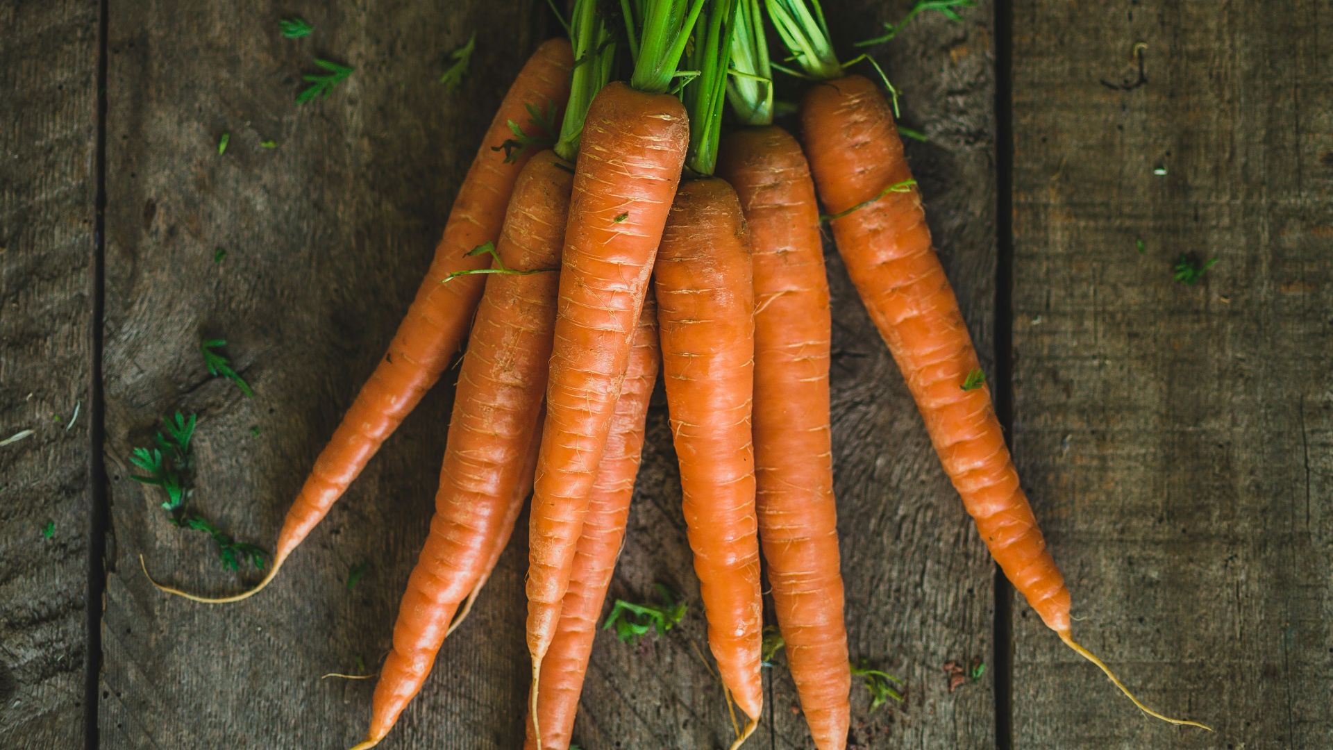 18. Carottes
