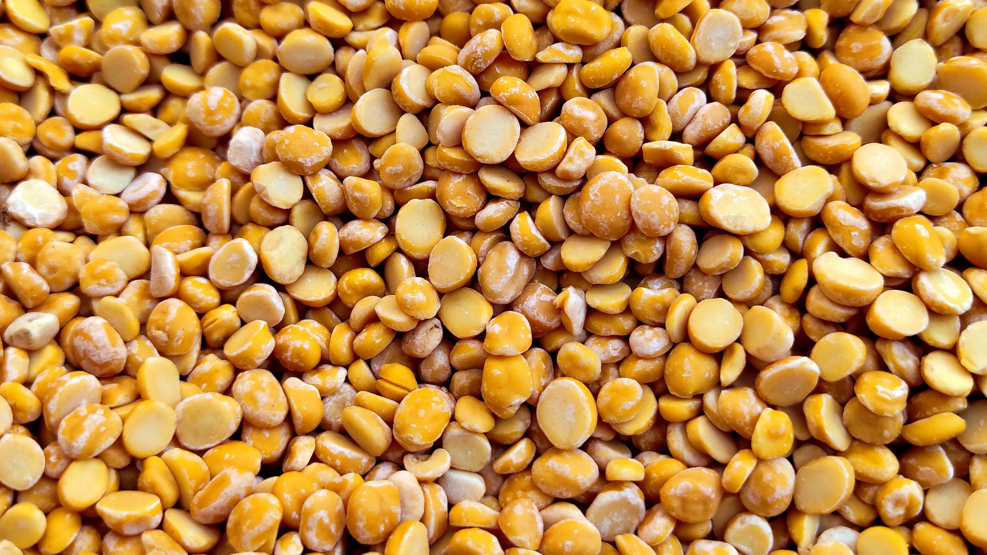 1. Privilégiez les haricots et les lentilles dans vos repas