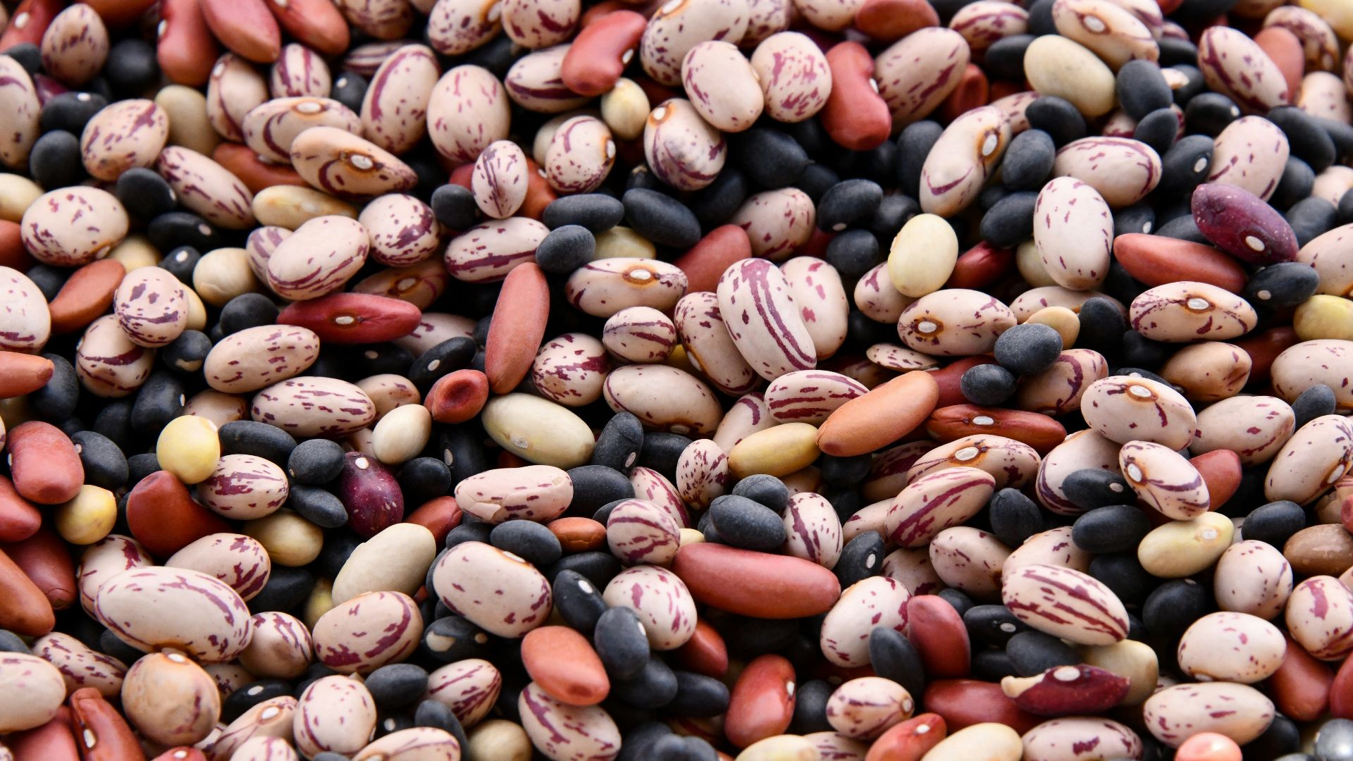 6. Haricots