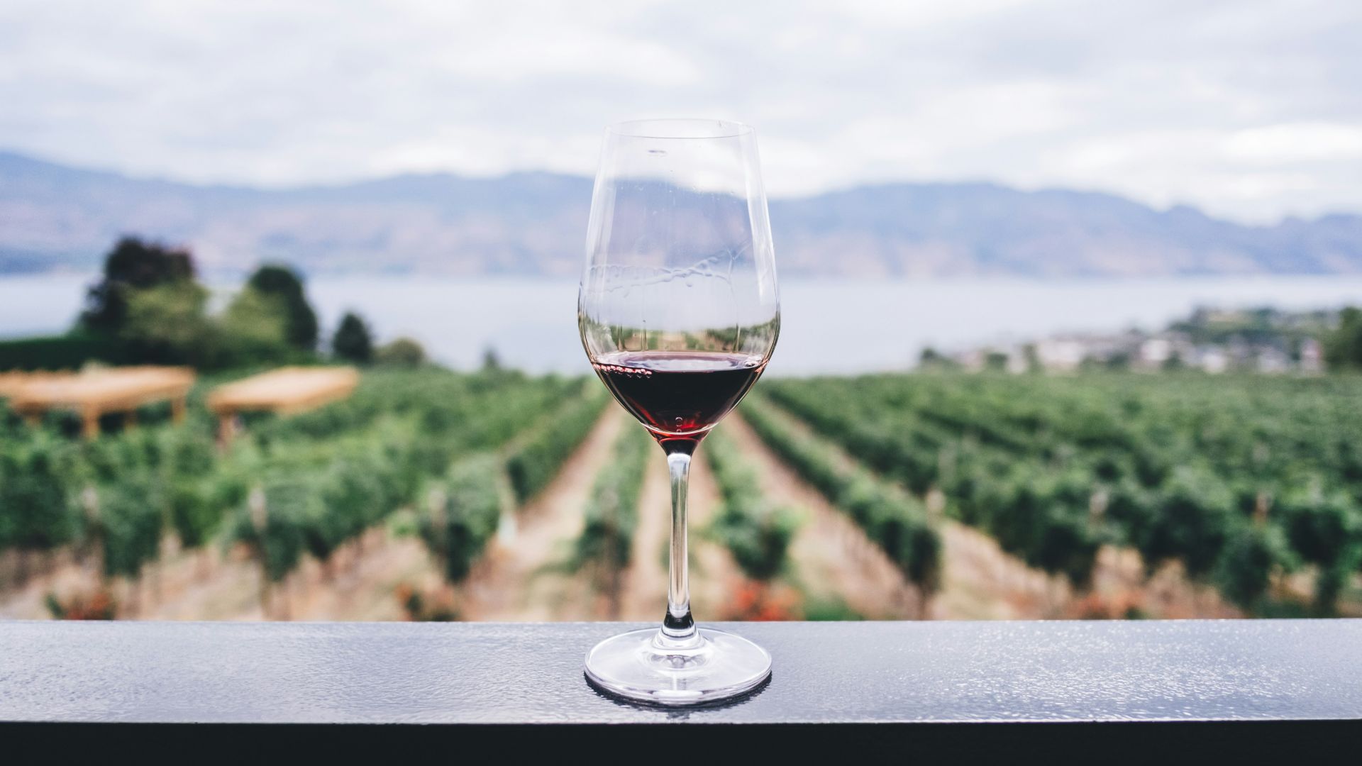 15. Ils ont une relation réfléchie avec l'alcool