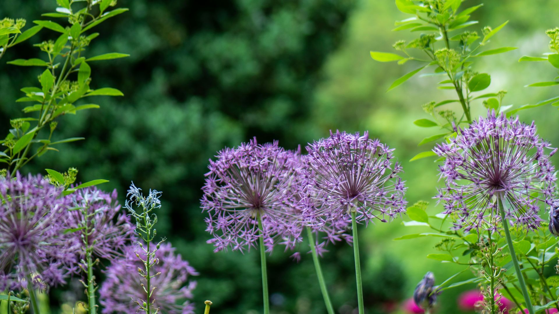 4. Jardins privés