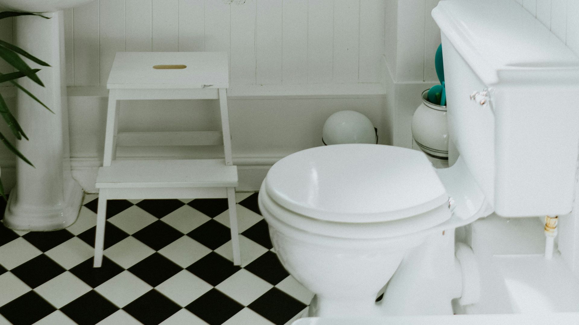 15. Laisser la lunette des toilettes relevée