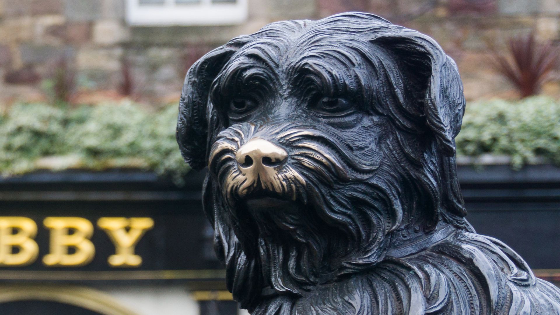 12. Greyfriars Bobby, le gardien du cimetière d’Édimbourg