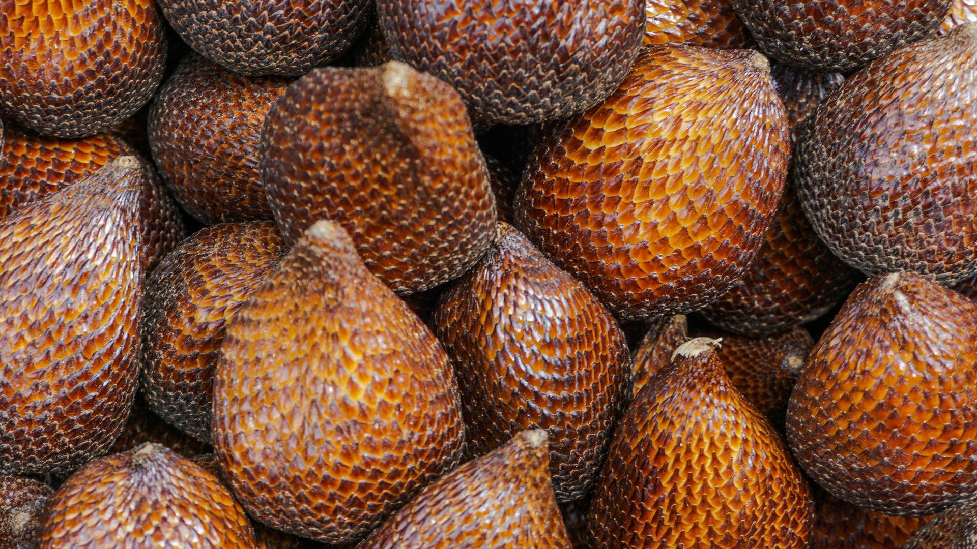 4. Salak