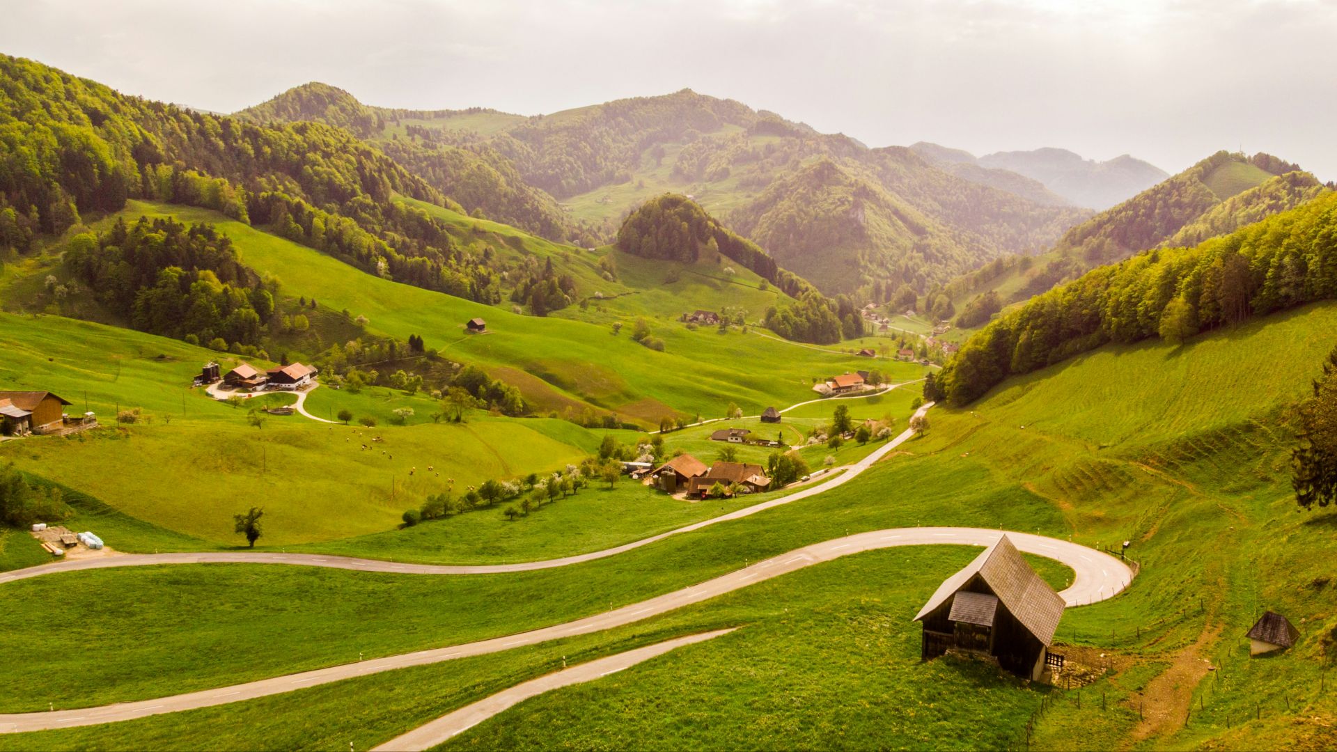 3. Suisse