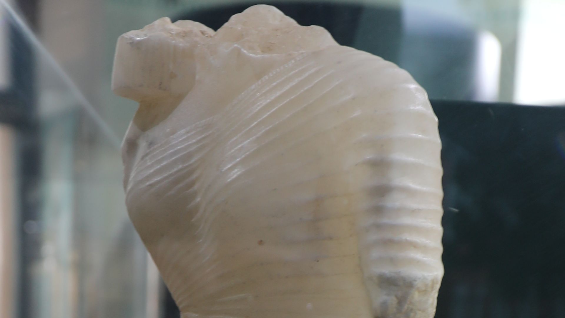 20. La princesse d'Amarna