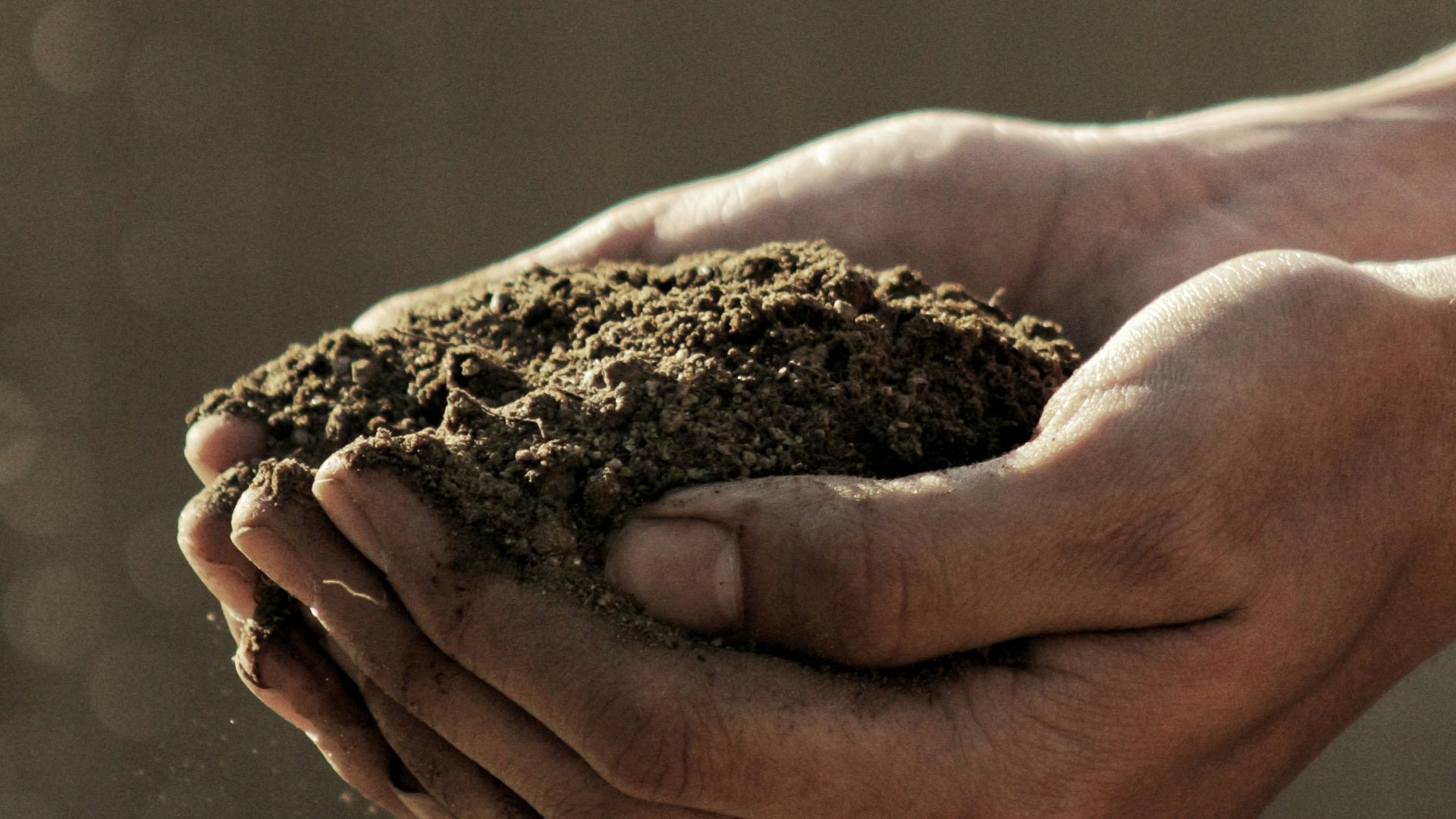 8. Enrichissez votre tas de compost