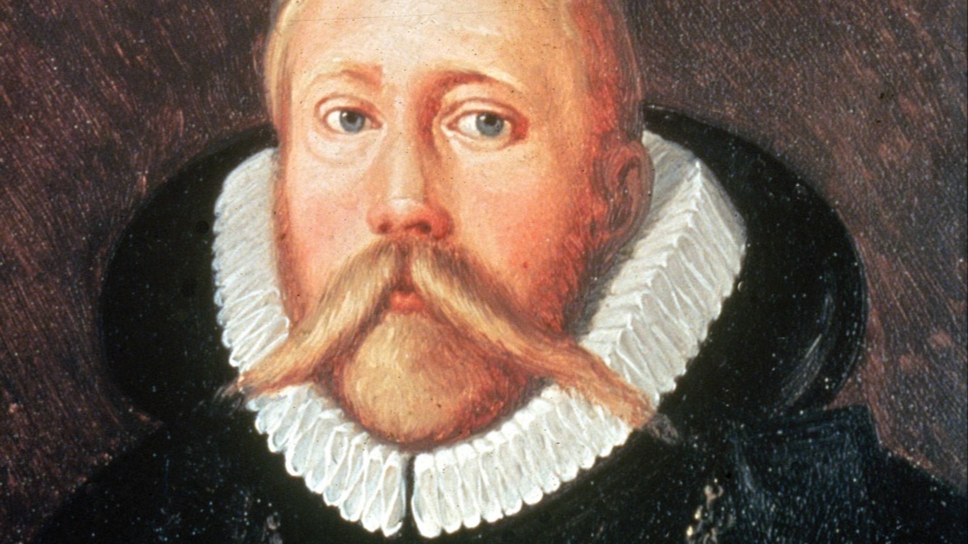7. Tycho Brahe, le spécialiste de la viande dans le monde scientifique