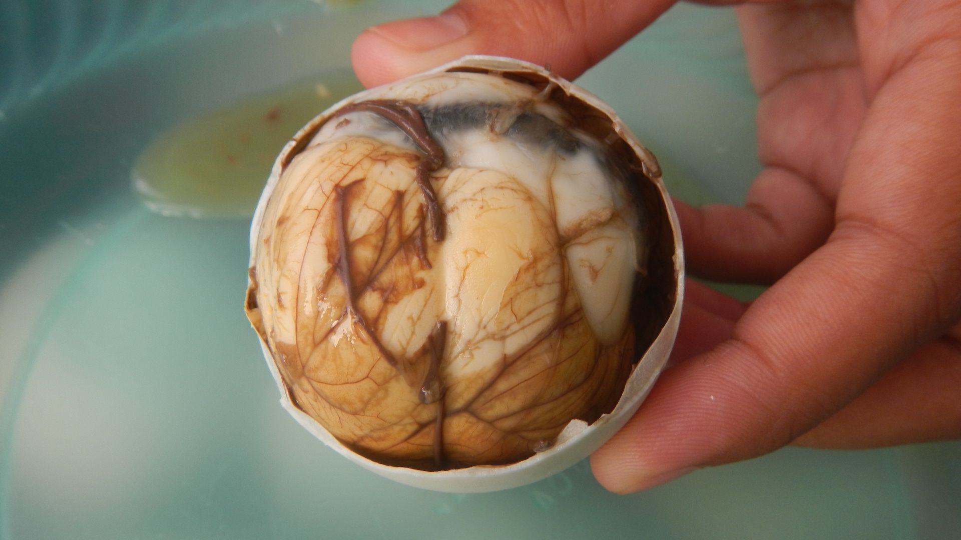 6. Balut