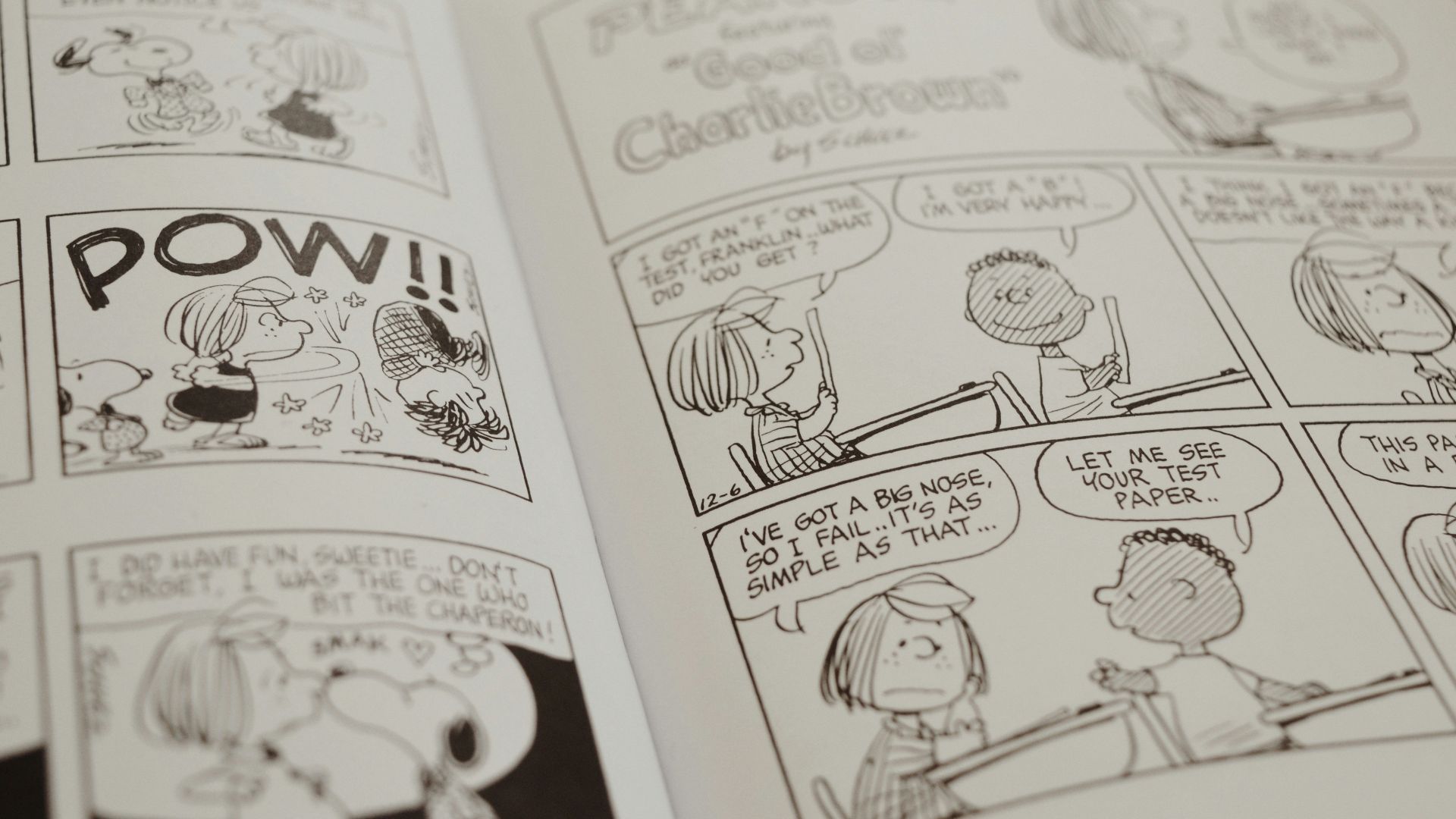 20 choses que vous ne saviez pas sur Snoopy