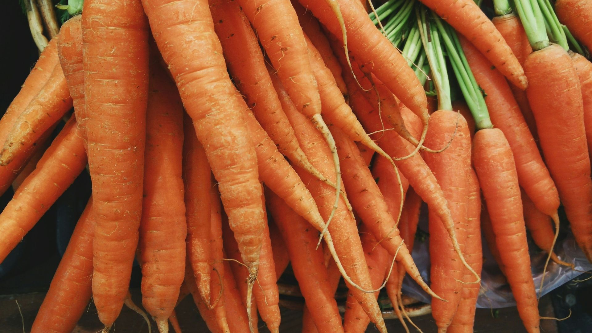 3. Carottes
