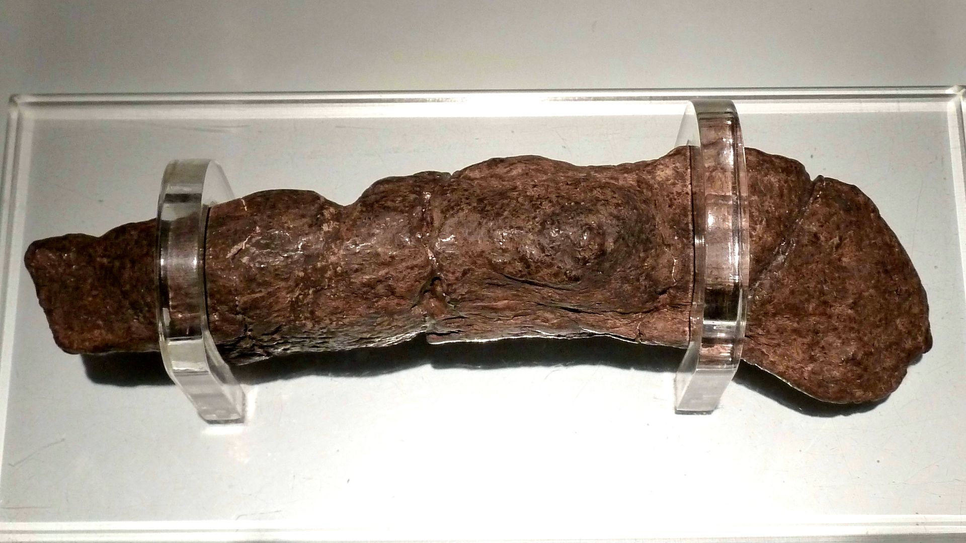8. Le coprolite de la Lloyds Bank