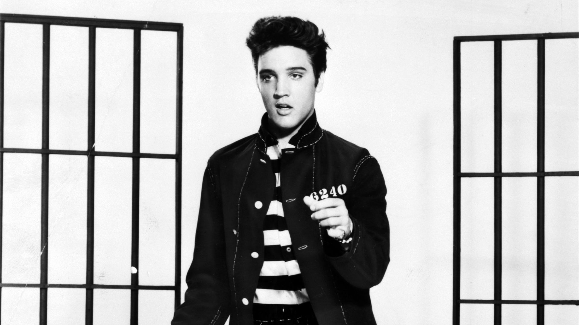 16. Les animaux d'Elvis