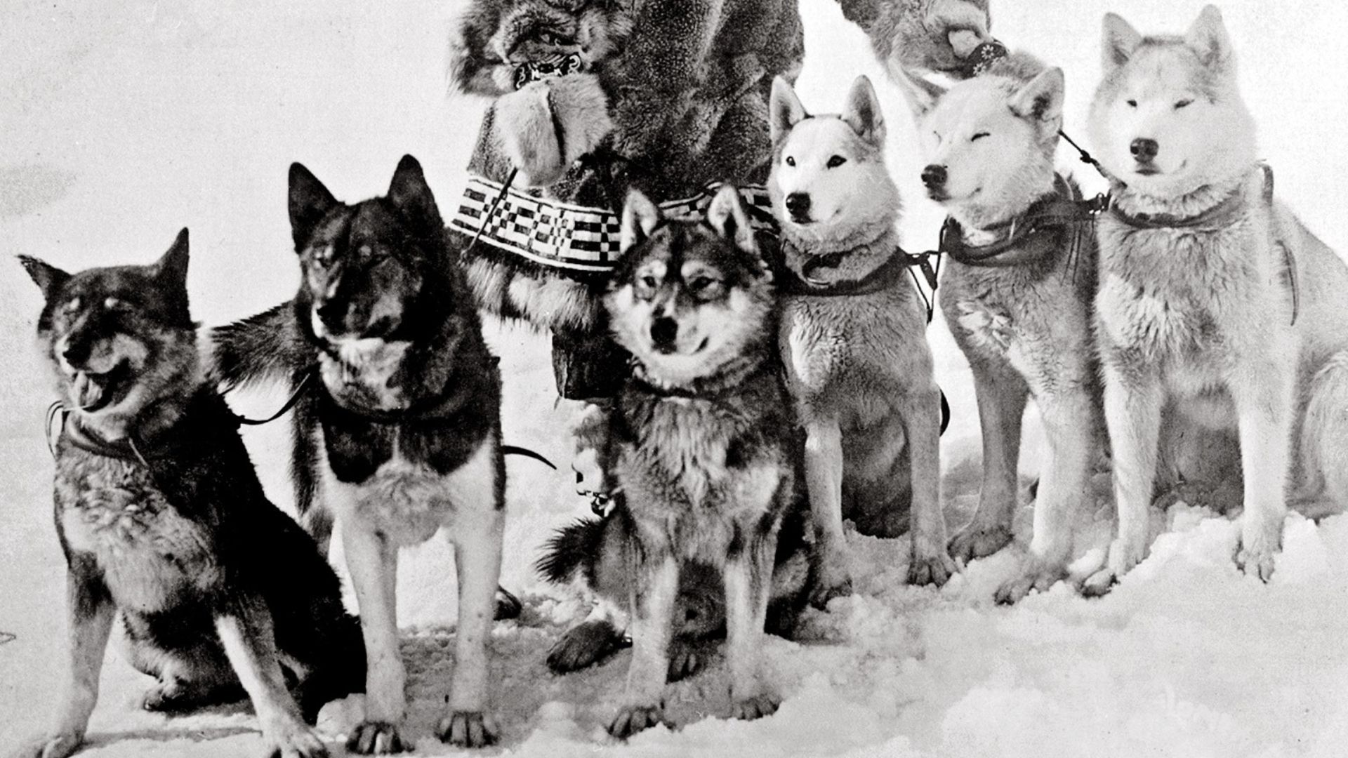 3. Le Togo, héros méconnu de 1925