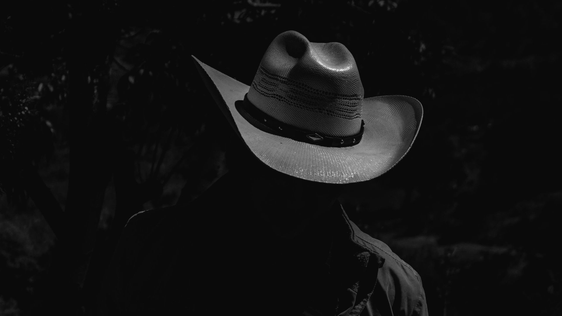 13. Zip Wyatt