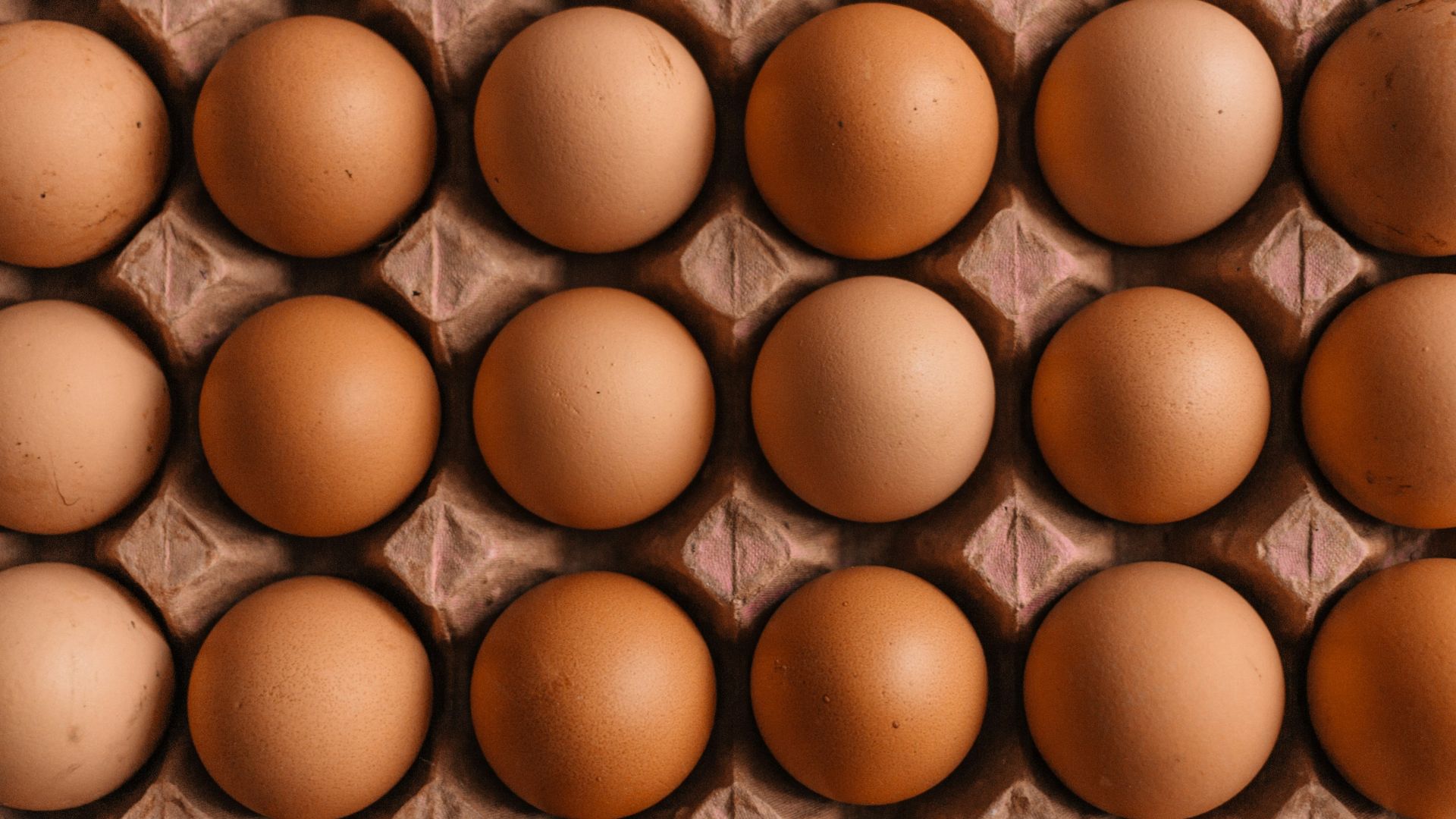 16. N'oubliez pas la vitamine D