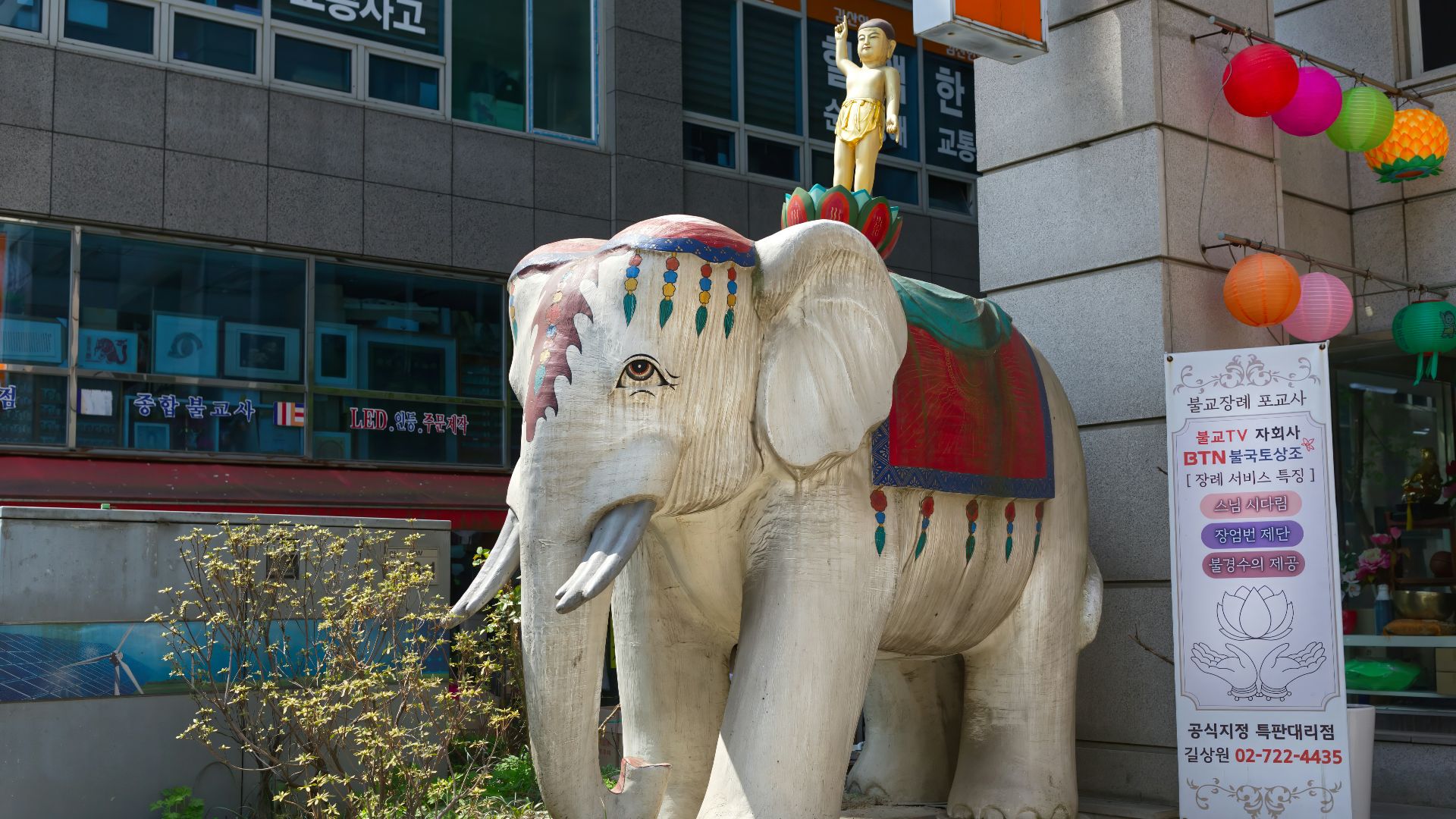 12. Éléphant blanc