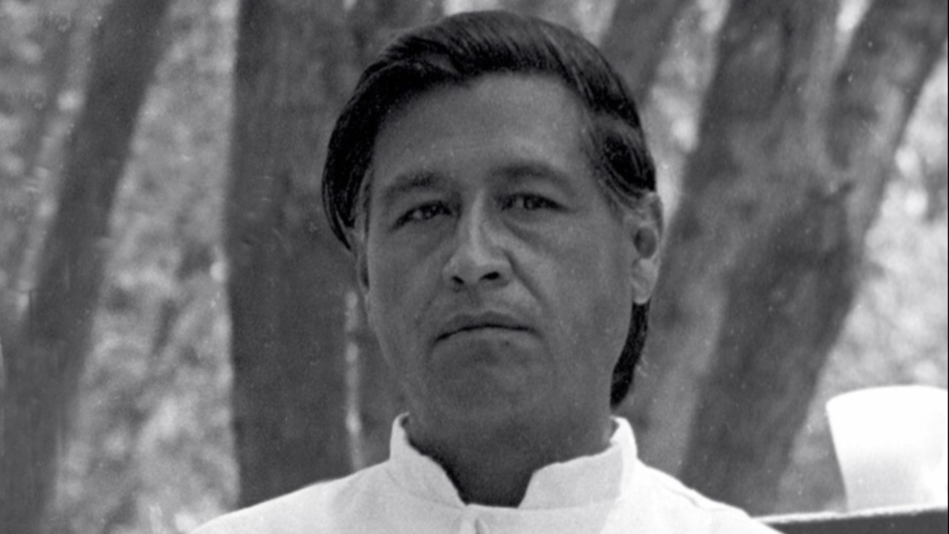 18. César Chávez