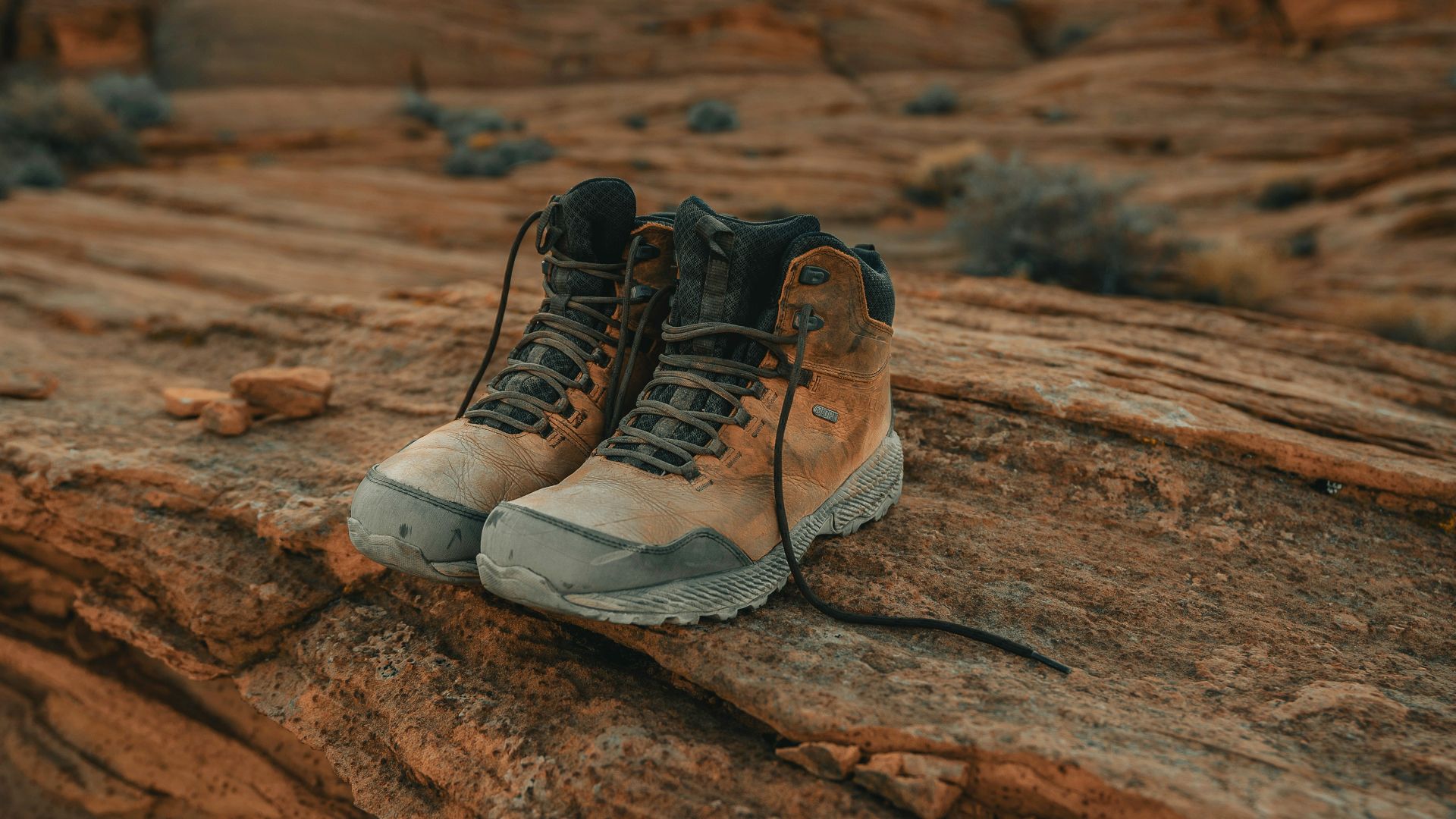 Bottines de d&eacute;sert en daim
