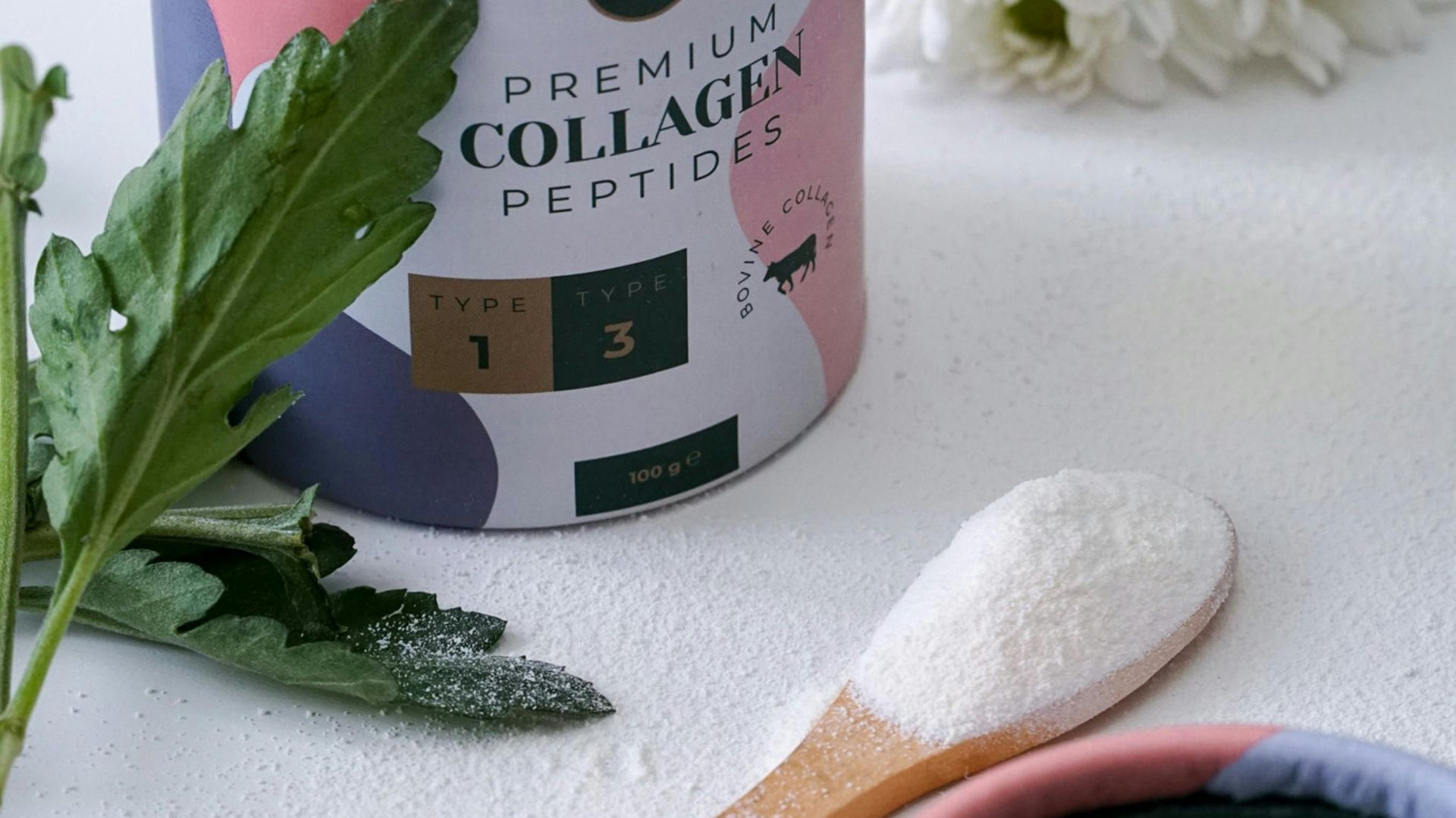 6. Poudres de collagène