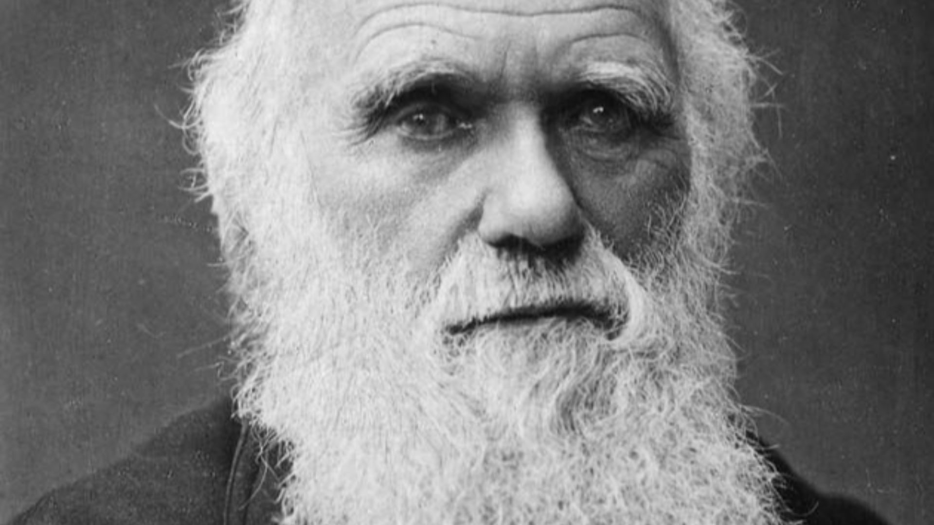 5. Charles Darwin
