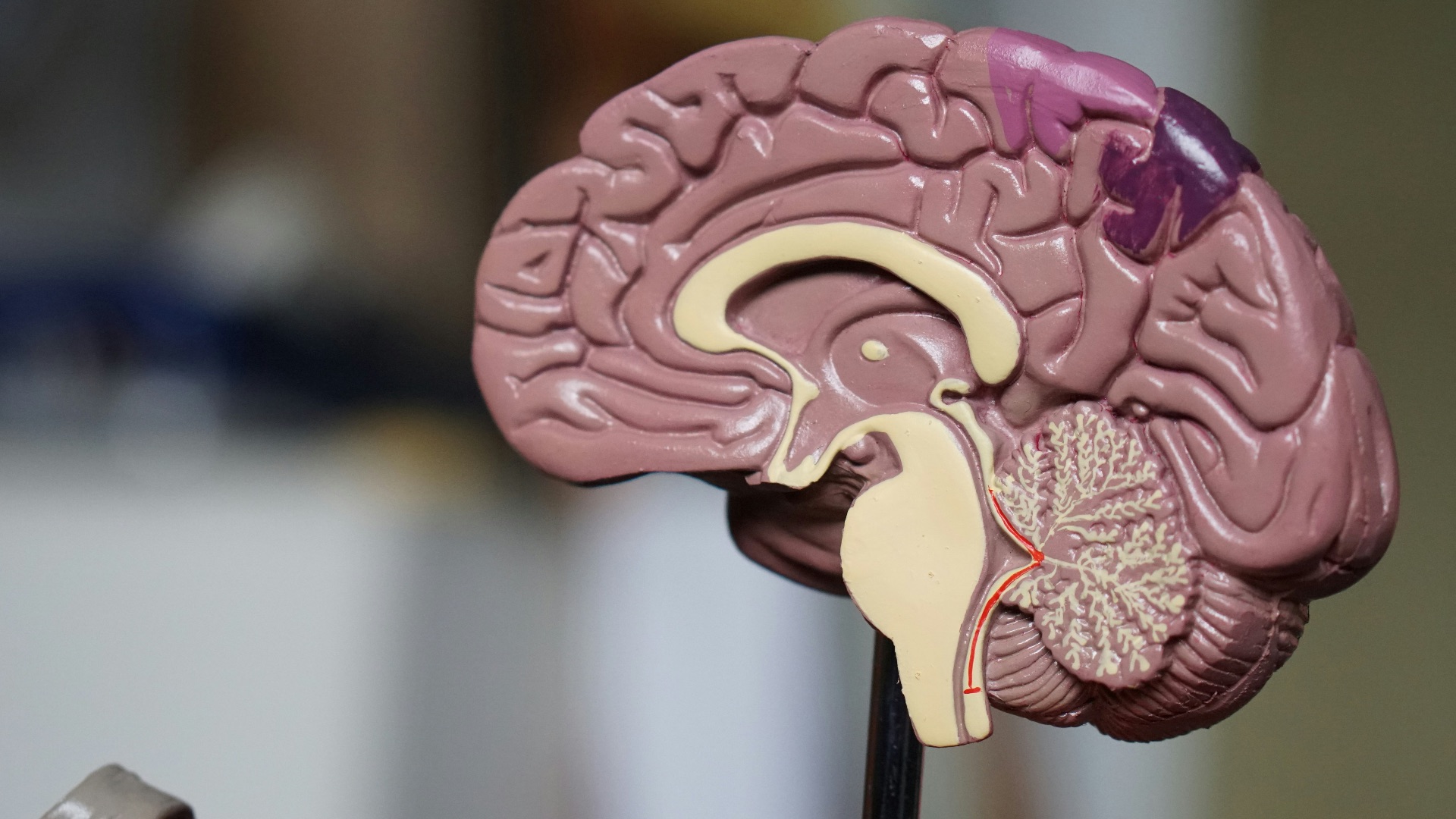 4. Cela permet à votre cerveau de se reposer