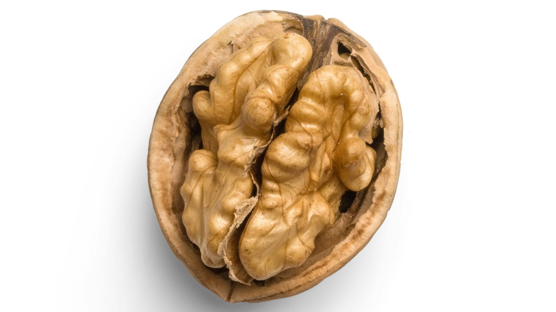 7. Noix
