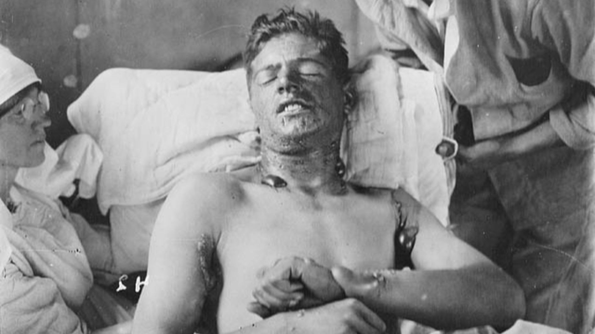 20 poisons historiques qui ont bouleversé la politique, la guerre et les familles royales