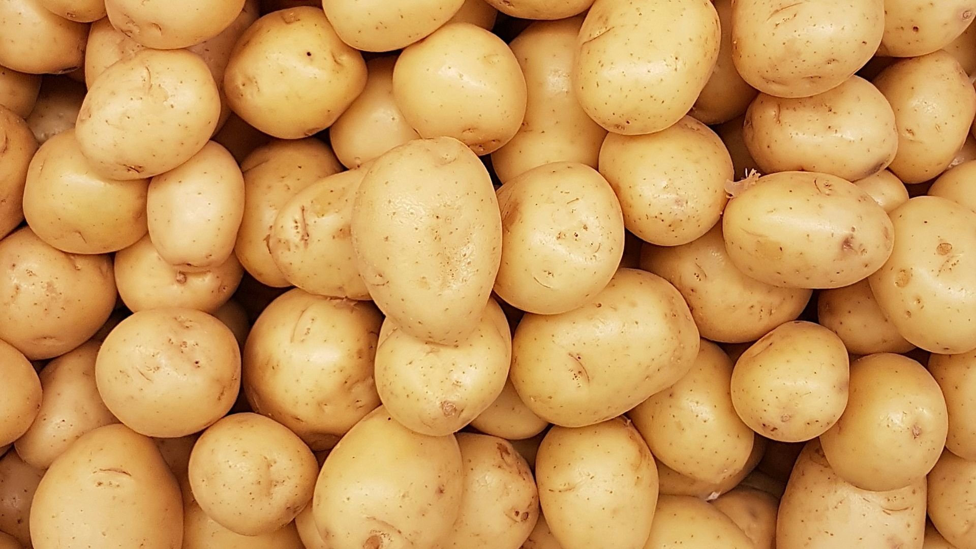 10. Pommes de terre
