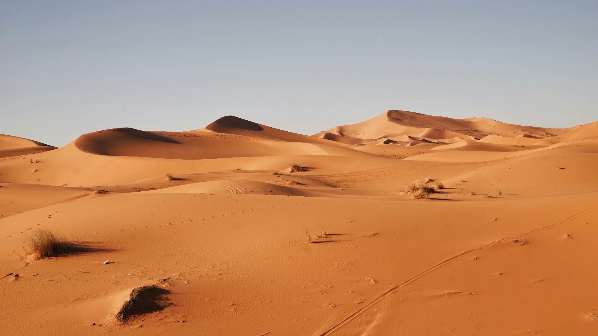 15. L'effondrement de la période humide en Afrique