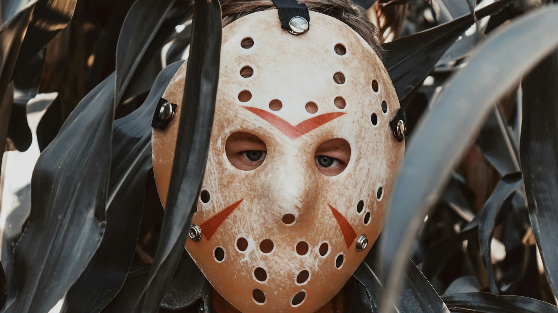 3. La panique du « Slasher » à Halifax