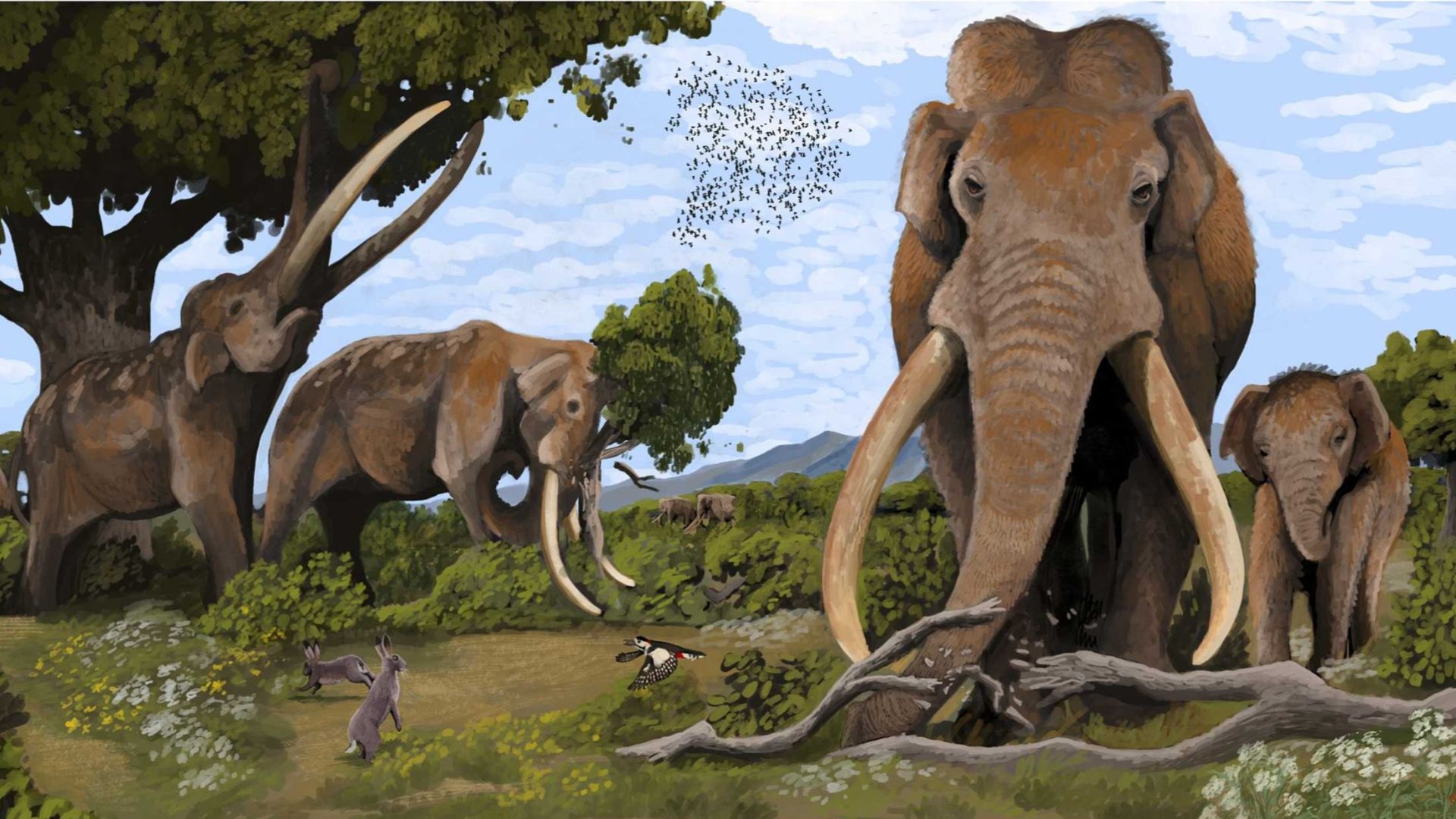 8. Le renouvellement de la mégafaune à la fin du Pléistocène