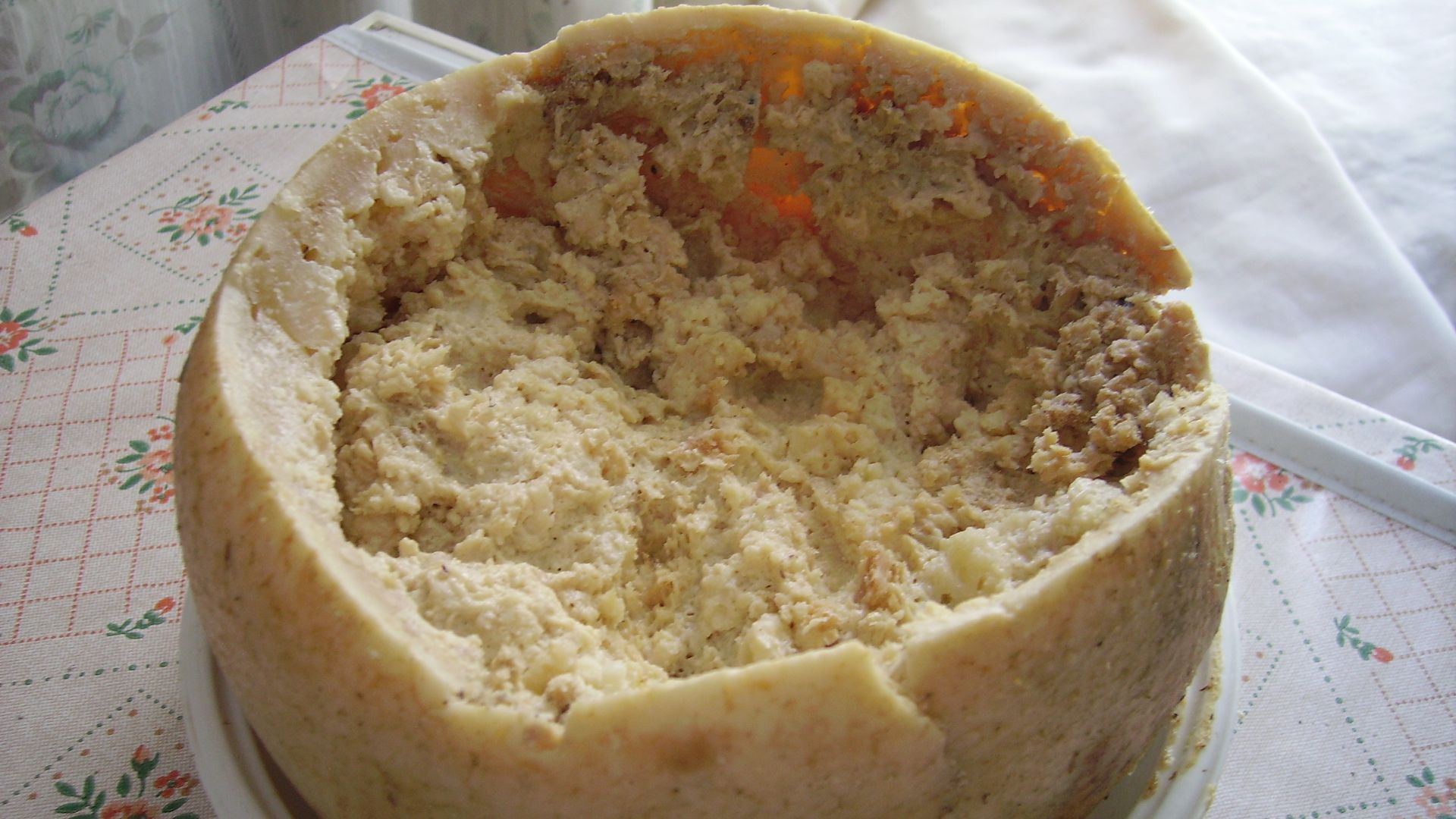 5. Casu Marzu