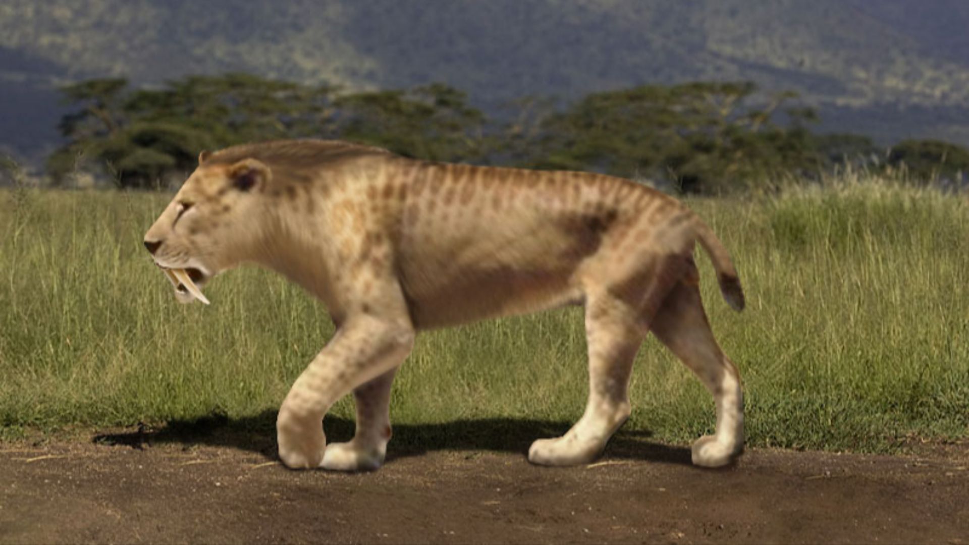 8. Smilodon