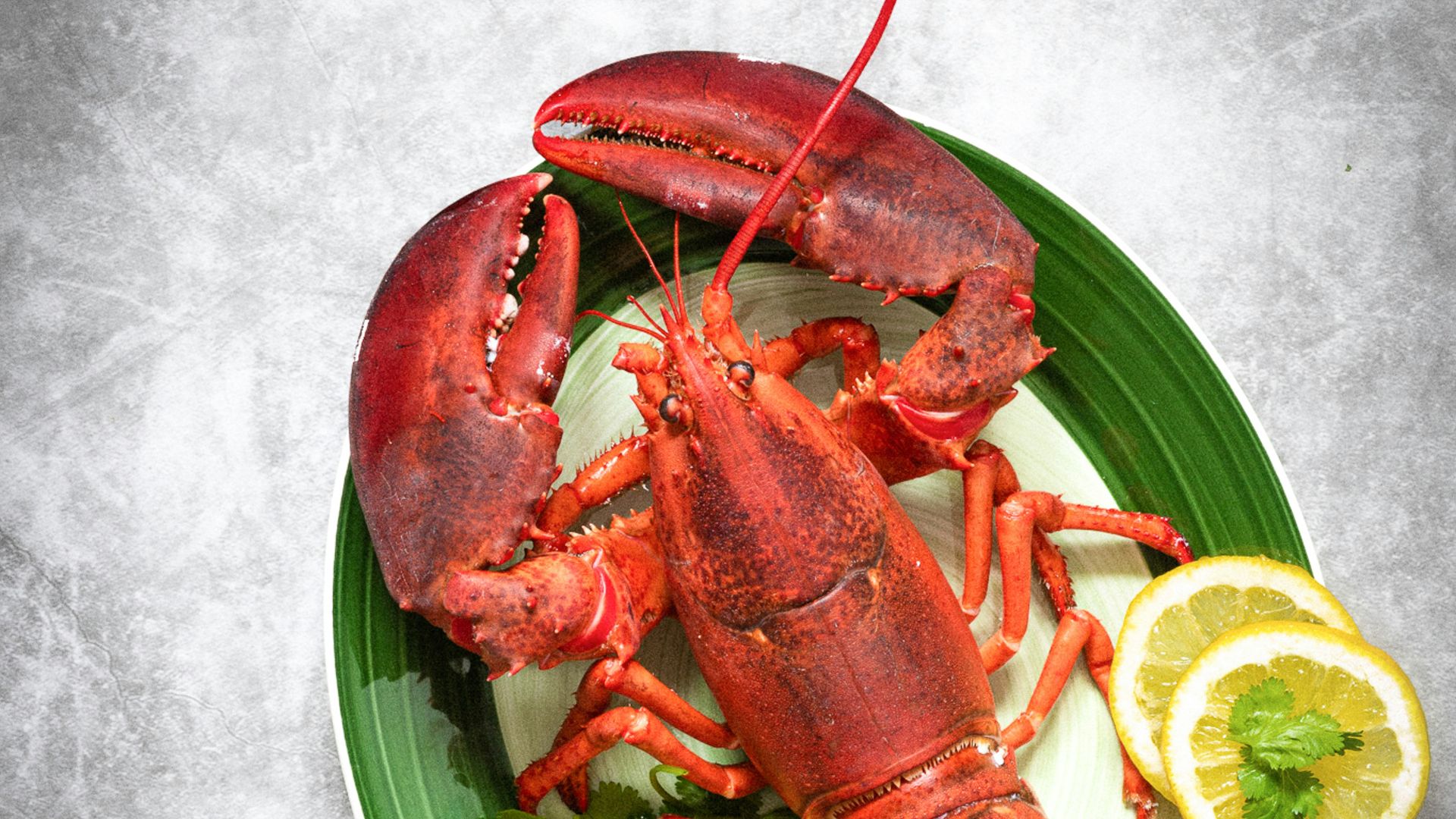 5. Homard