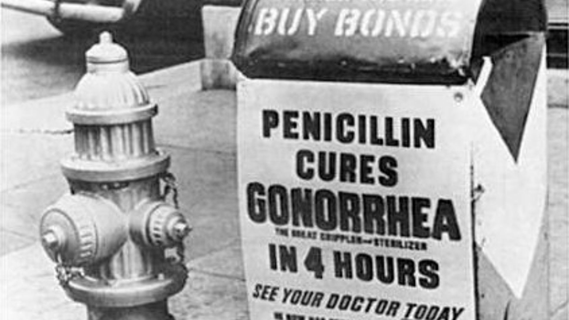 2. La production de masse de la pénicilline