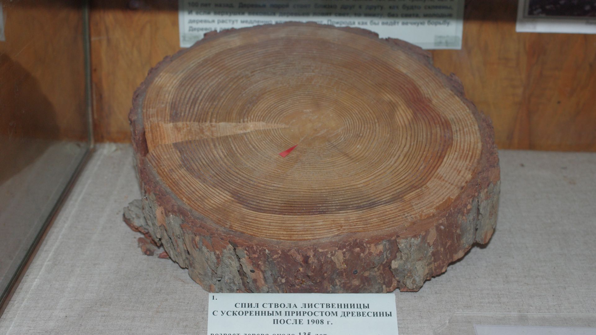 1. L'événement de la Toungouska
