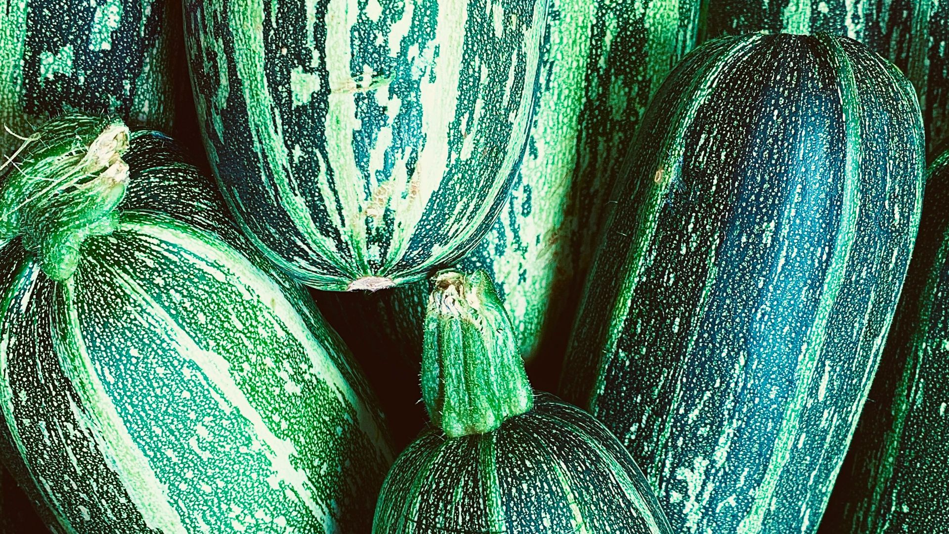 6. Courgettes sautées